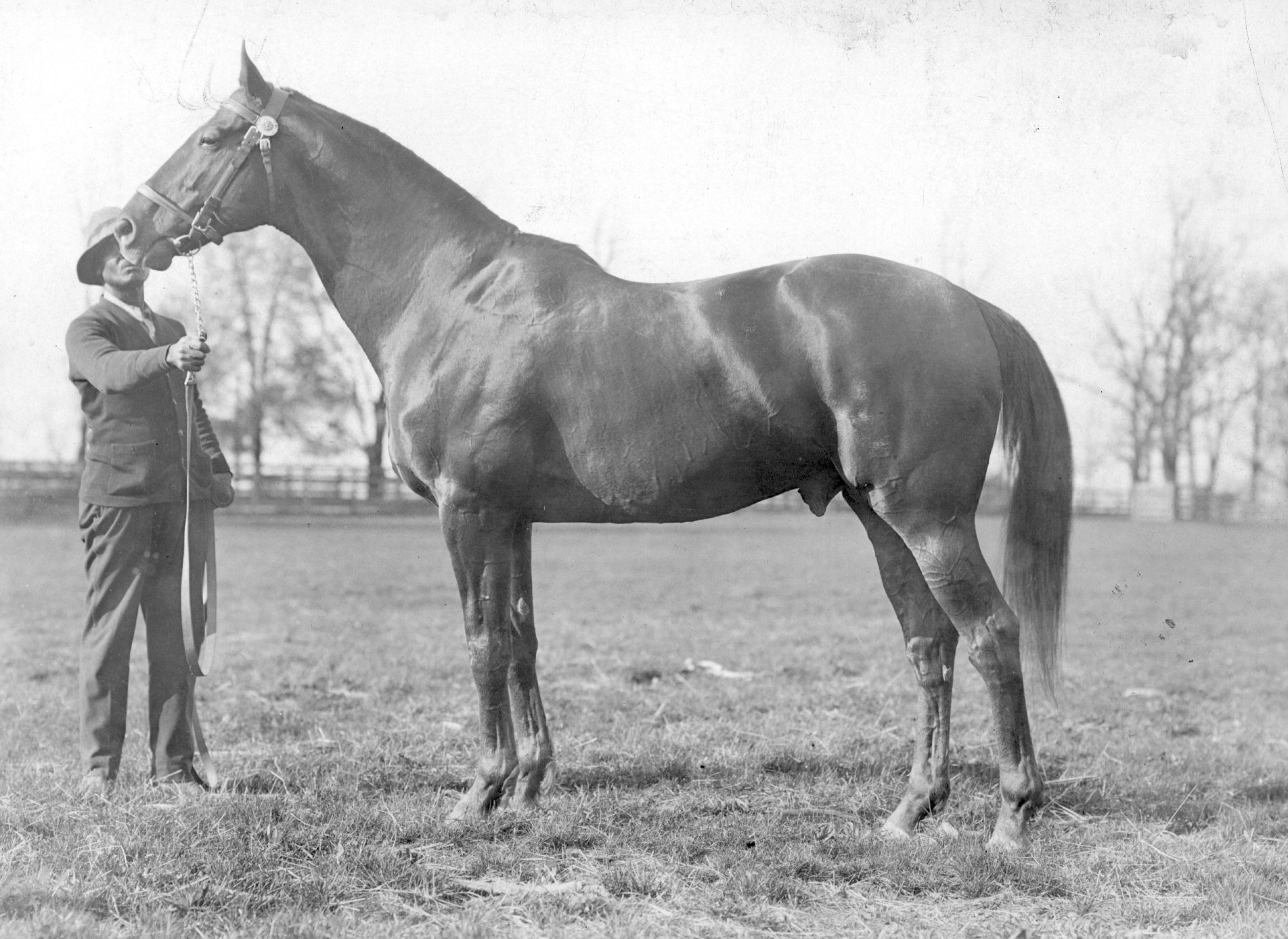 Man O'War